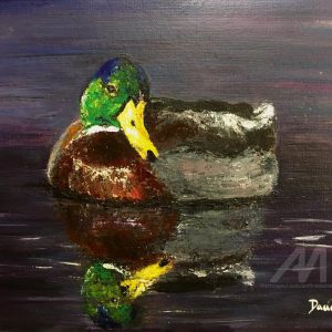 Canard col vert