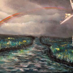 Catch the rainbow