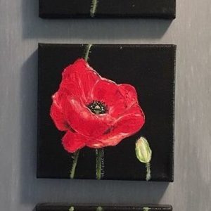 Poppy flowers