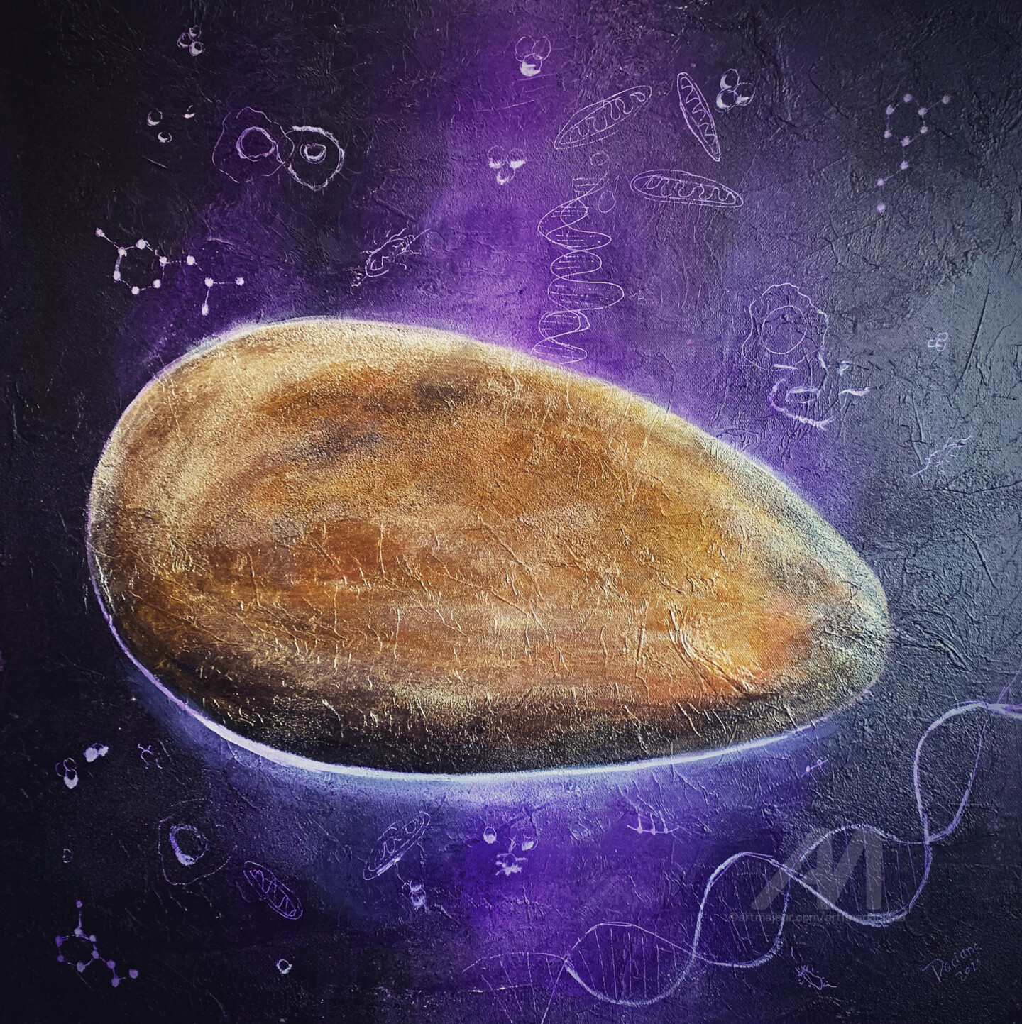Primordial egg