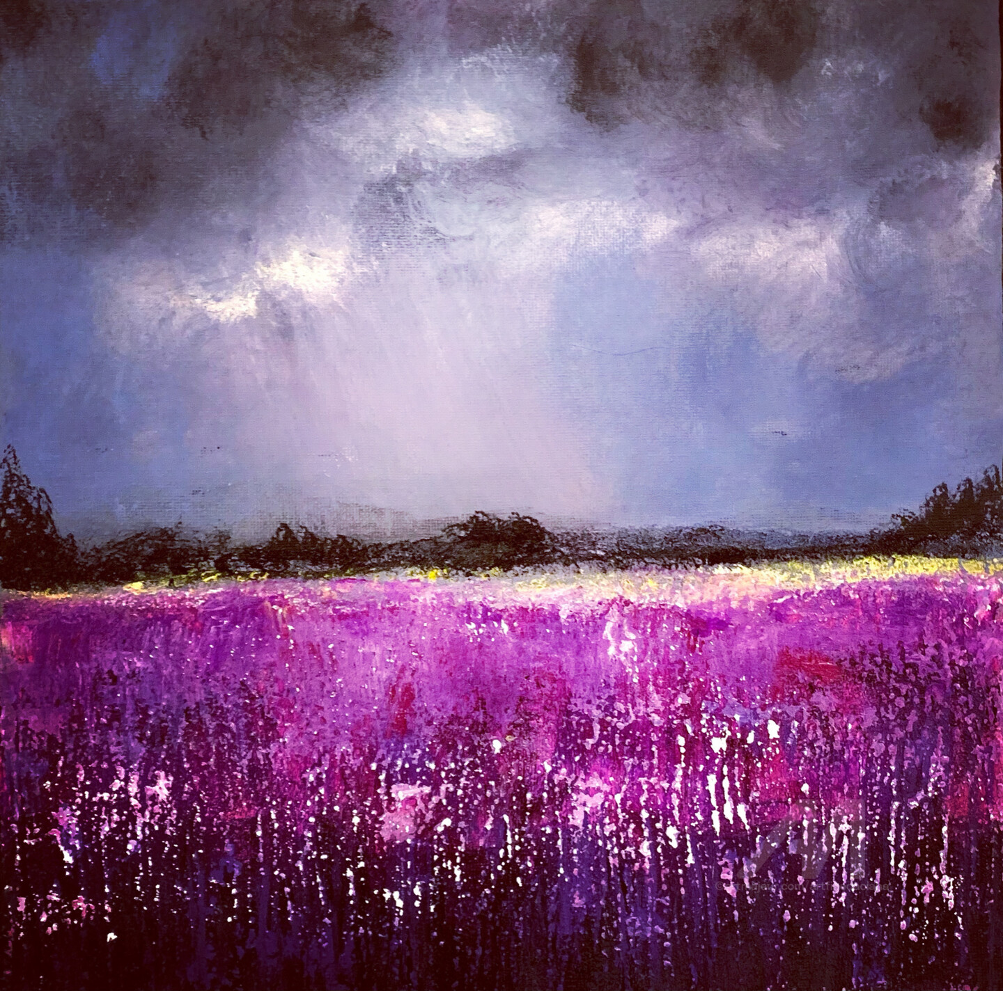 Purple field