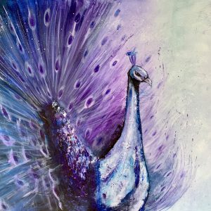 Royal peacock