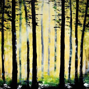 The first light of spring